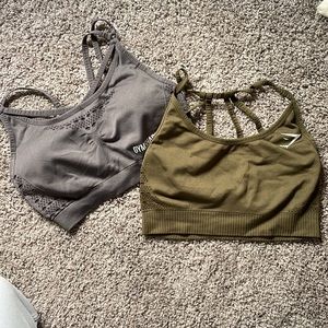 Gymshark Sports Bras